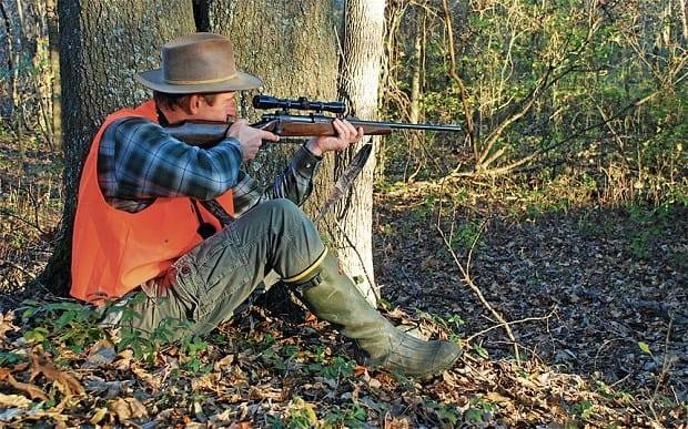 How To Find The Best Place To Shoot A Deer
