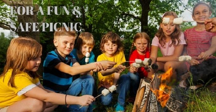 How to Have a Fun & Safe Picnic