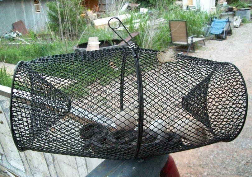 How to make a snake trap