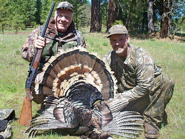 beginner guide to turkey hunting