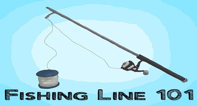 shelf-life-of-fishing-line