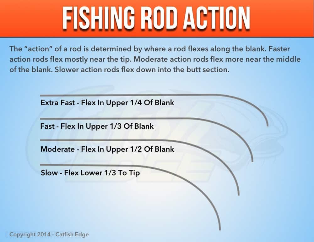 best catfish rod