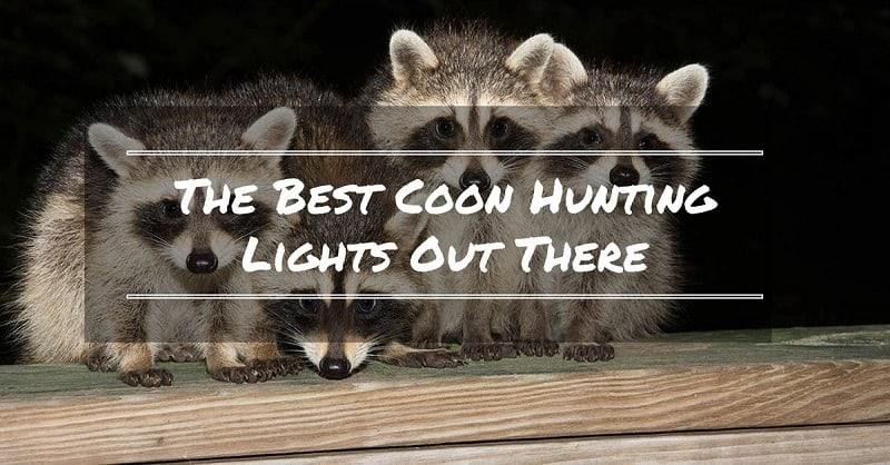 best coon hunting light
