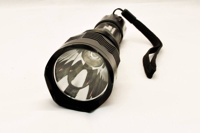 best coon hunting light