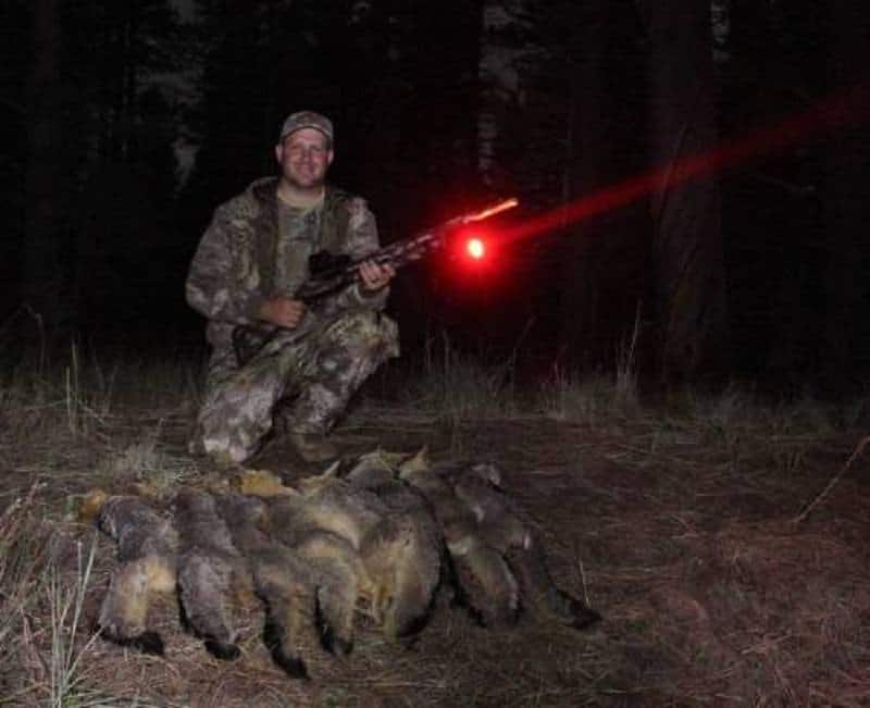 hunting-coyotes-at-night-2